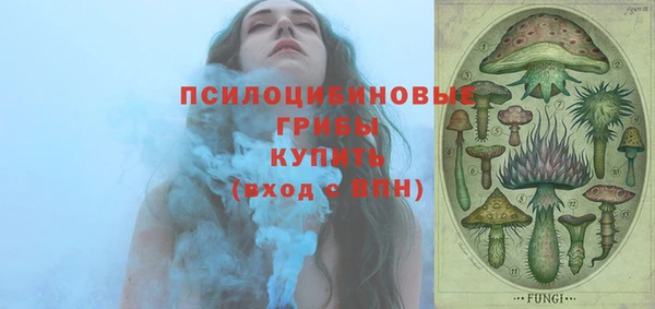 ГАЛЛЮЦИНОГЕННЫЕ ГРИБЫ Армянск
