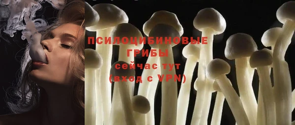 тгк Аркадак