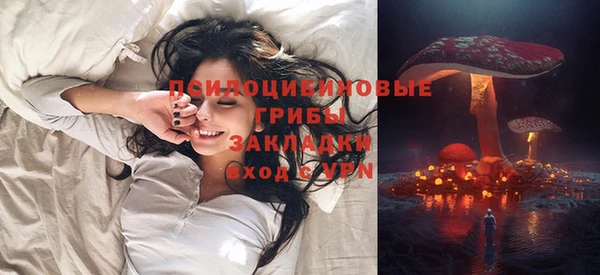 ГАЛЛЮЦИНОГЕННЫЕ ГРИБЫ Армянск